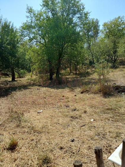 CASĂ IABLANIȚA 7 CAMERE \JUD. CS