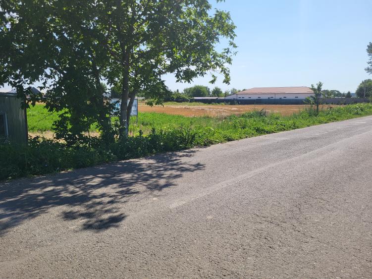 Teren 500 mp vis-a-vis de Parcul Comana/Delta Neajlovului . Posibilitate rate .
