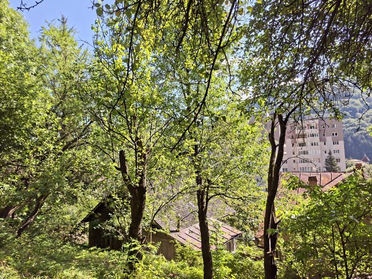 Teren de vânzare în Sinaia – 700 mp | Langa Hotel International!