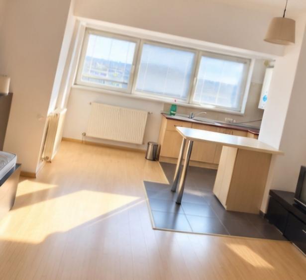 PRELUNGIREA GHENCEA - BLOC NOU - Garsoniera MODERNA - PET FRIENDLY