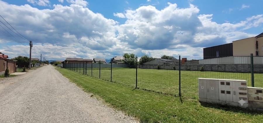 Vand teren deosebit in Harman Brasov - 2