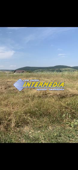 Teren intravilan de vanzare in Alba Iulia in suprafata de 500 mp