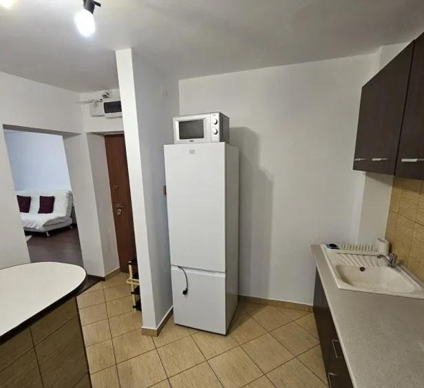 Apartament 2 Camere Iancului