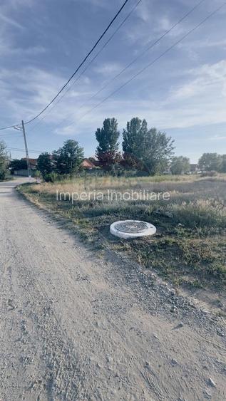 1040 mp, front 23ml, deschidere 2 strazi,  Cernele - 6