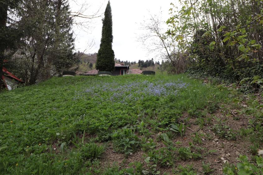 Teren de vânzare Sinaia Ultracentral – 300 mp, deschidere 12.1 ml la bulevard
