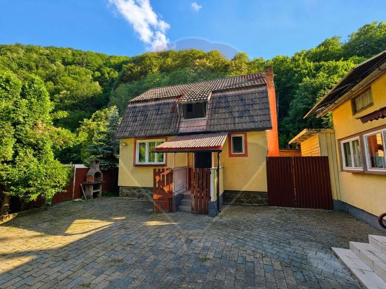 Cabană la munte, zona Someșul cRece