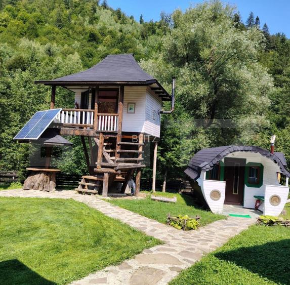 Cabana/Casa de vacanta in Molid, SV, 136 mp, teren cu 3300 mp, Iaz cu pesti - 11