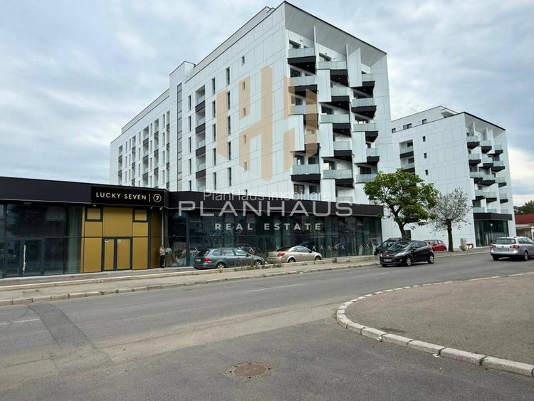 Apartament 4 camere,Vasile Alecsandri, zona Shopping Park, parter înalt - 21