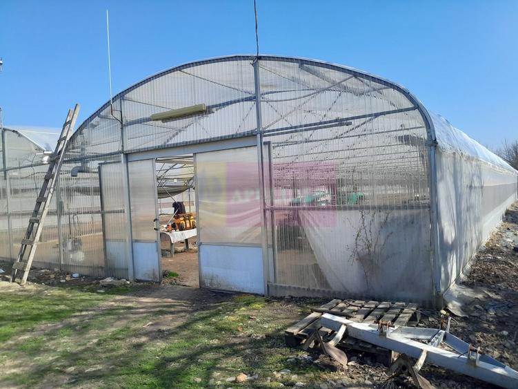 VANZARE TEREN 3100 MP - SAT ROSIORI (IL)
