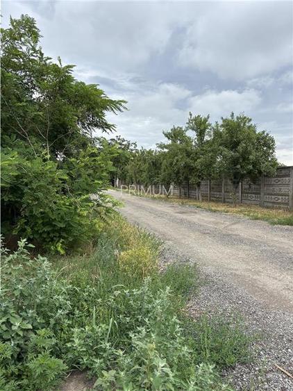 Teren- MOSNITA VECHE- Toate utilitatile + str. pietruita - 3