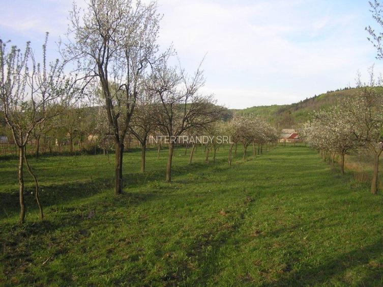 (307) Teren intravilan Calinesti – sat Carstieni, jud. Arges / Direct proprietar - 5