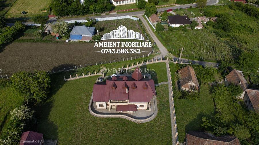 Casă spațioasă cu teren generos de 3.200 mp, VASLUI - MÎNJEȘTI; - 5