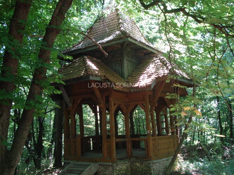 Conac istoric clasa B, 13 ha teren, valoare istorica - 4