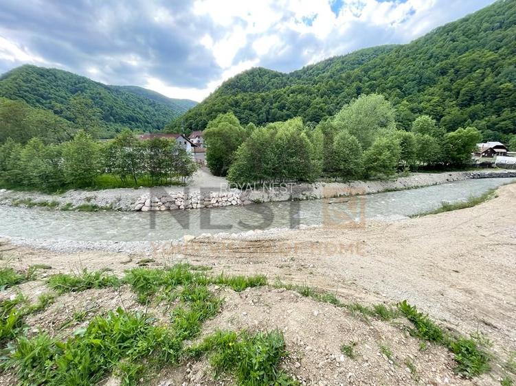 COMISION 0%! Teren superb la Plaiul Foii, pe malul Barsei - 8