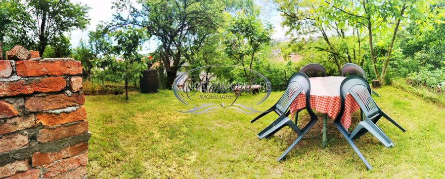 Apartament cu gradina si atmosfera boema, zona Semicentrala - 15