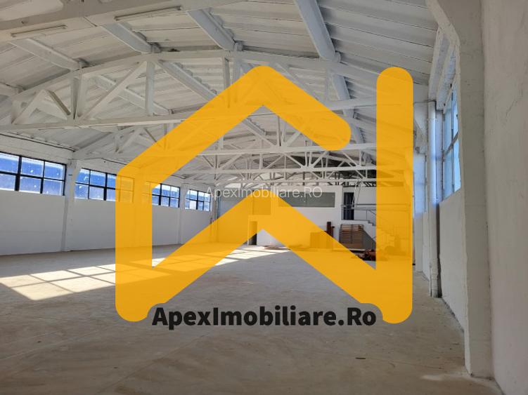 Hala Industriala Xenia – 1800 mp, Acces TIR, Parcare 50 Auto - 15