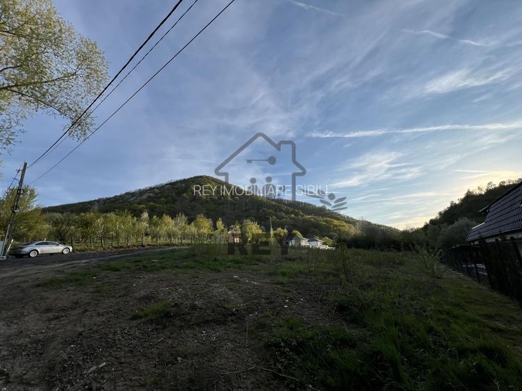 Teren la poalele Cetății Cisnadioarei de vânzare/1250 mp - 9