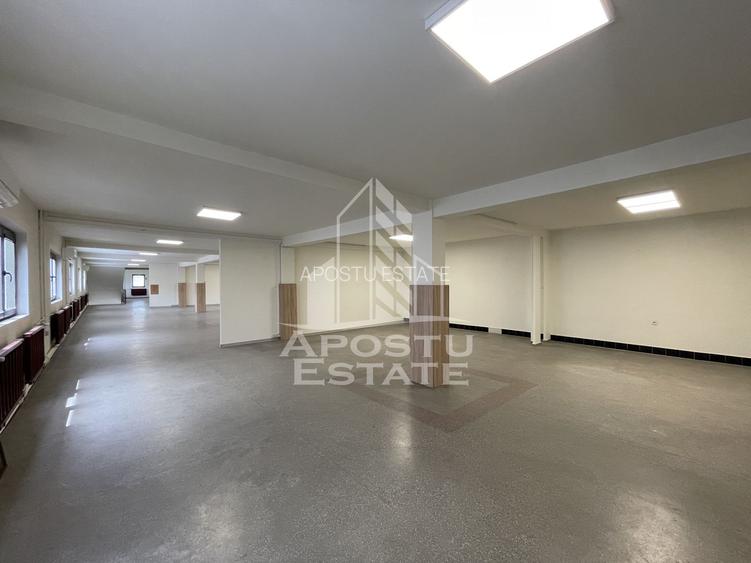 Cladire P+1E+M, 800 mp, teren 1200 mp, Central Dumbravita - 3