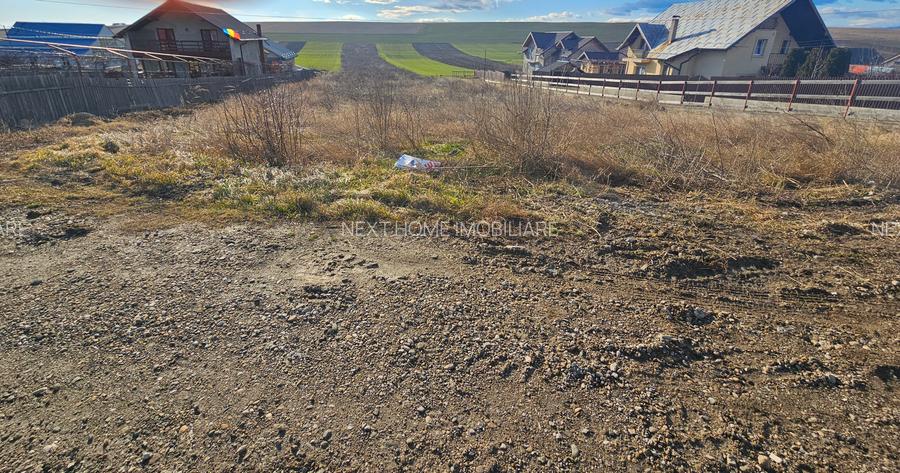 Teren Turturesti la strada principala - 5