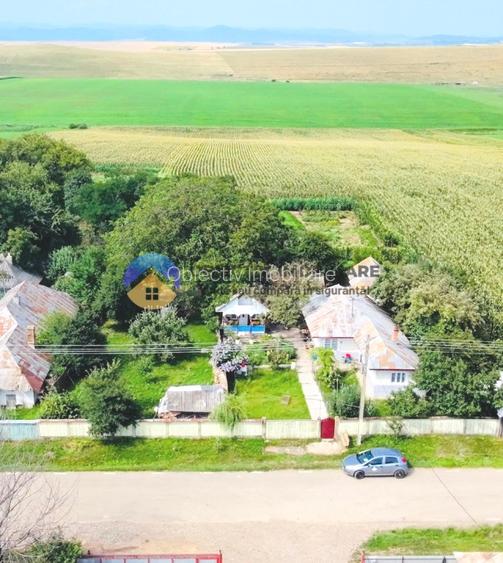 TEREN intravilan  9.126 mp - comuna STEFAN cel MARE - 3