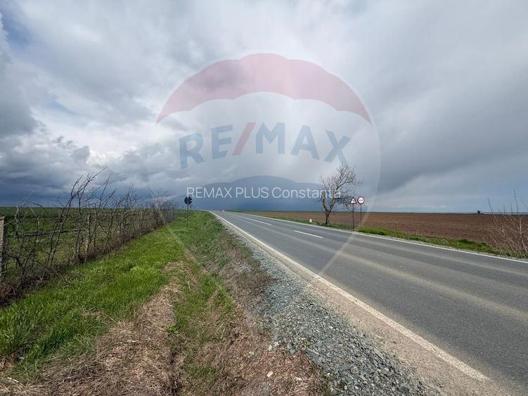 Teren extravilan Săcele ideal pentru silozuri, fermă sau investiție - 2