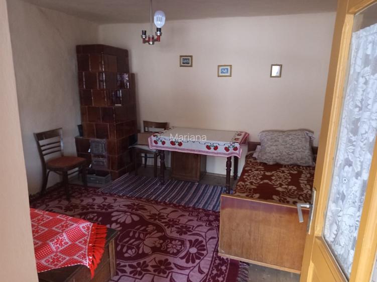 Casa la tara cu teren si gradina,beci si alte dependinte - 4