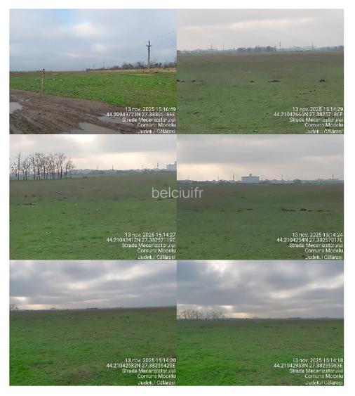 21 Terenuri extravilane situate in Judetul Calarasi, Com Modelu si Com Cuza voda - 3