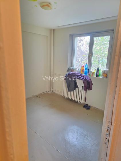 Lacul Tei  Teiul Doamnei  Colentina - 11