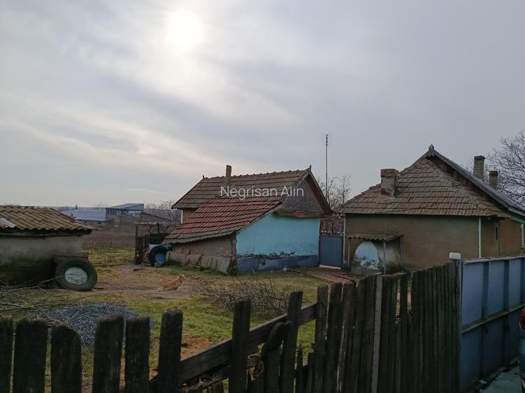 Casă + Teren 4625 mp – Cataloi (10 min de Tulcea) - 6