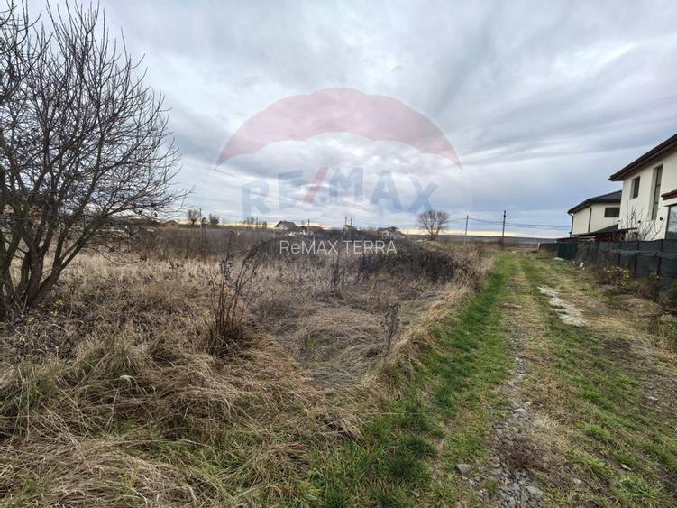 Teren de vanzare in Sacalaseni - zona case noi langa Moara Veche - 7