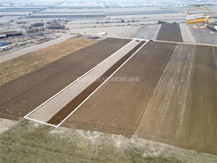 FILM! In areal linistit, acces facil, 4.200 mp  teren extravilan, Covasna - 7