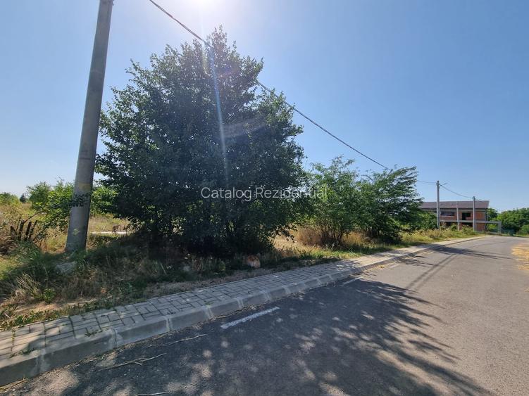 Teren de vanzare in Loc Domnesti - Tudor Vladimirescu - 6