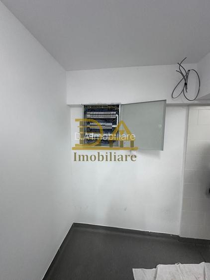 Spatiu comercial (ideal Horeca) de inchiriat in zona Doamna Ghica - 7