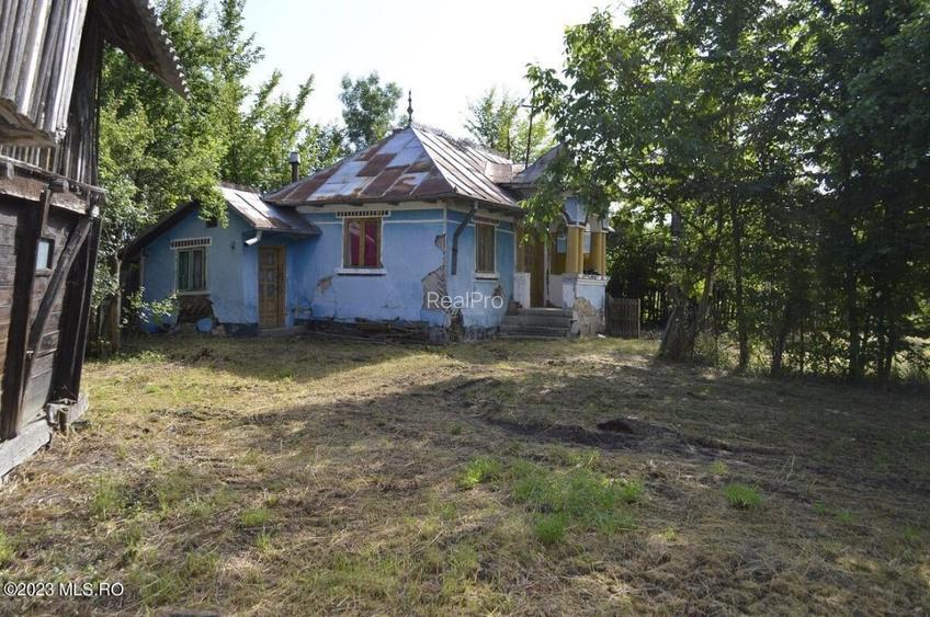 Suseni - Teren intravilan cu casa batraneasca, plan, suprafata 4700 mp! - 15