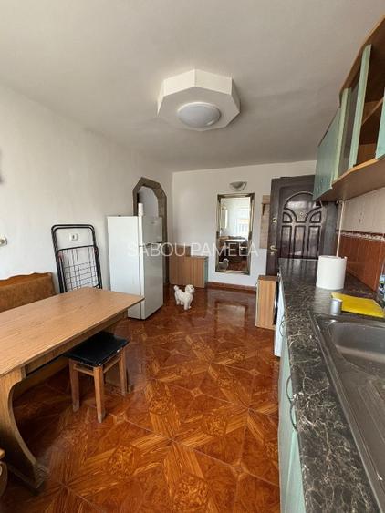 Apartament mobilat și utilat complet proaspăt renovat zona Petru Rareș - 9