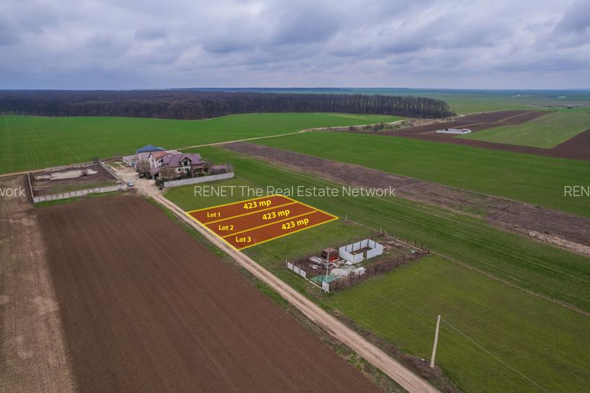 FRUMUSANI - VIOLETELOR, TEREN 423 MP, FRONT 14 M! - 3