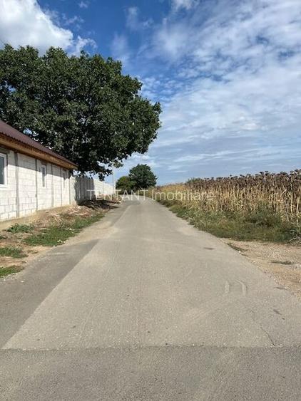 Terenuri pentru constructie rezidentiala Moara Vlasiei, 10 min de Bucuresti - 4
