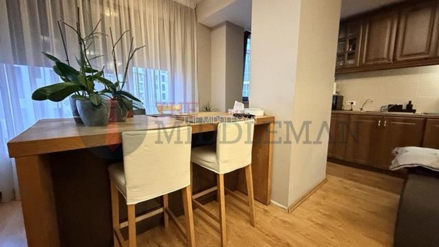 Apartament cu 3 camere langa Parcul Herastrau - 15