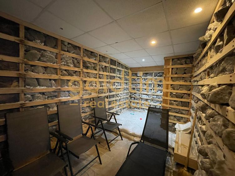 VILĂ EXCLUSIVISTĂ - PISCINĂ INTERIOARĂ - CARTIER PRIVAT – PĂULEȘTI - 32