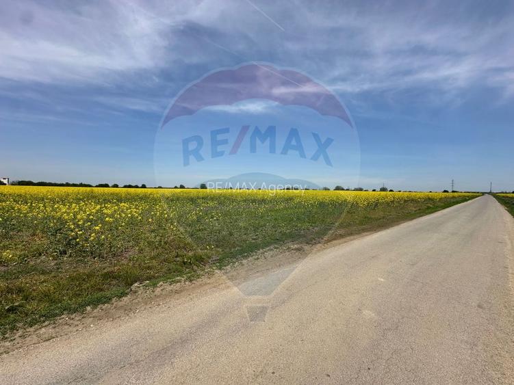 Teren 545,000mp Dragomiresti-Vale - 12