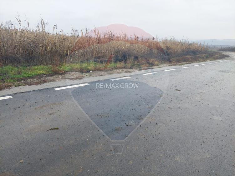 Teren intravilan de vanzare – Nicolae Balcescu, jud. Bacau - 3