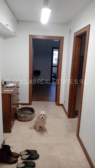 Exclusivitate ! Apartament 2 camere decomandat-City Mall -115.000 euro(Cod E5) - 4