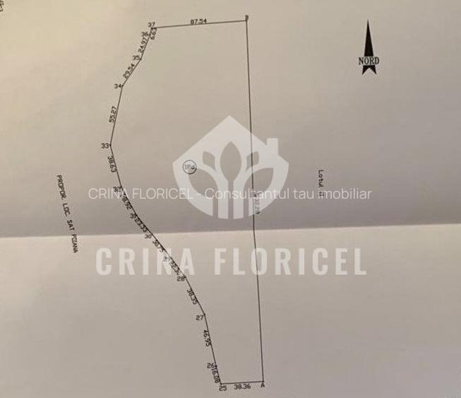 Vanzare PADURE - 3 HA - Varbilau, jud Prahova - 2