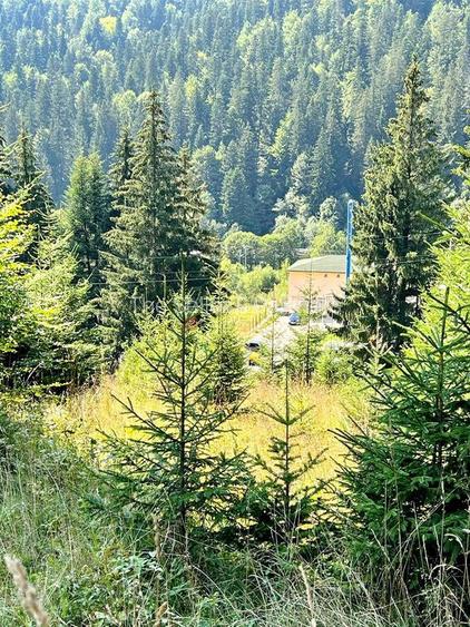 Teren Intravilan Predeal - Acces direct DN - Priveliste deosebita - 30