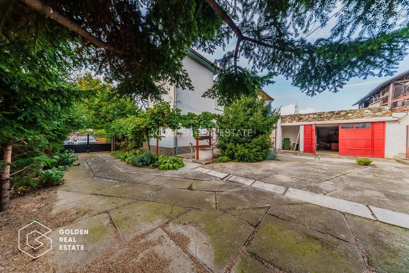 Vila superba, P+E,  Cuvin, 9 camere, 200 mp si teren 1300 mp plus anexa 3 camere - 46