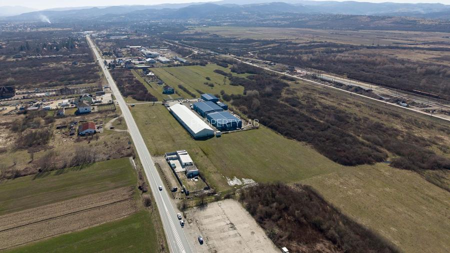 Teren extravilan de 7.000 mp lângă Păltiniș - 13