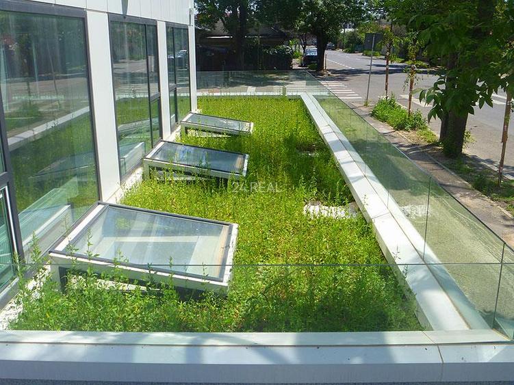 Spatiu de birouri zona Jiului - 200 mp - 5