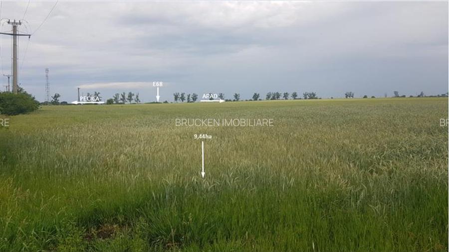 TEREN CU POTENTIAL INDUSTRIAL/ SERVICII | 9,44 HA | ARAD, PECICA - 8