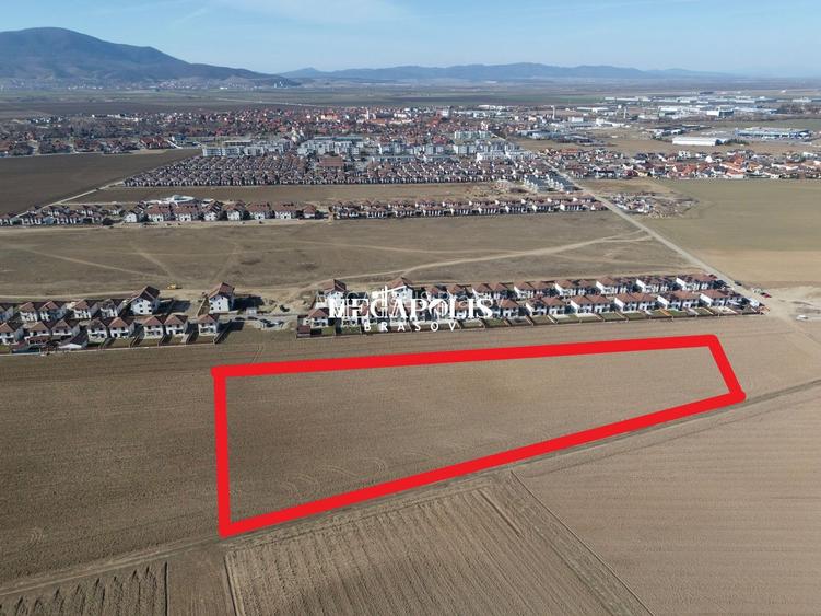 Teren 12.500 mp Ghimbav – Cartierul Florilor | Ghimbav - 5