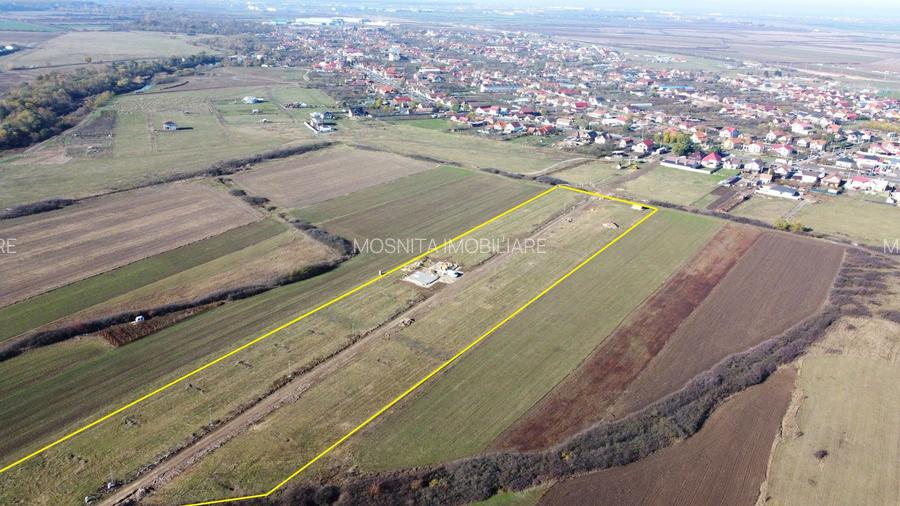 Terenuri Remetea Mare, cu toate utilitatile garantate - 69euro/mp+TVA - 12